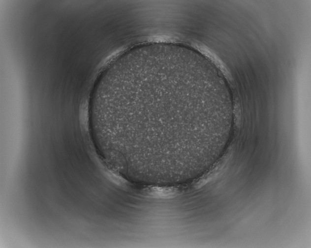 X0000111020442200907310935