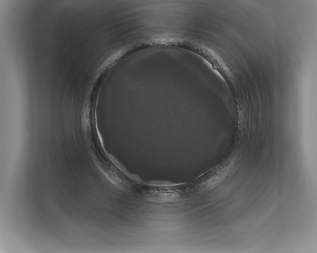 X0000111020443200907310935