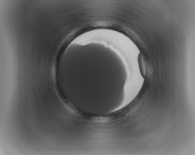 X0000111020444200907310935