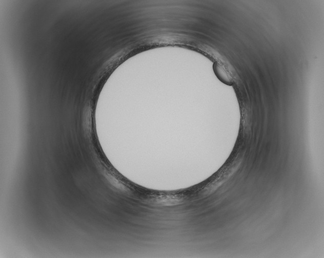 X0000111020445200907310935