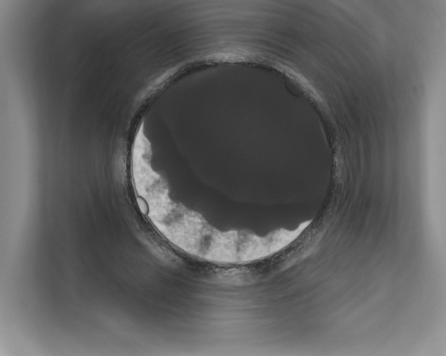 X0000111020446200907310935