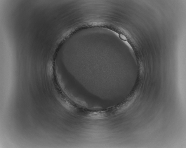 X0000111020447200907310935