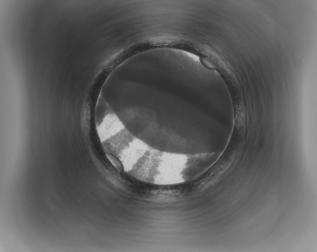 X0000111020448200907310935