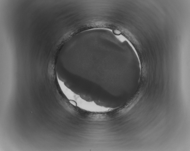 X0000111020449200907310935