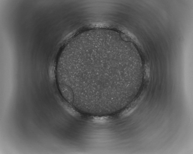 X0000111020450200907310935