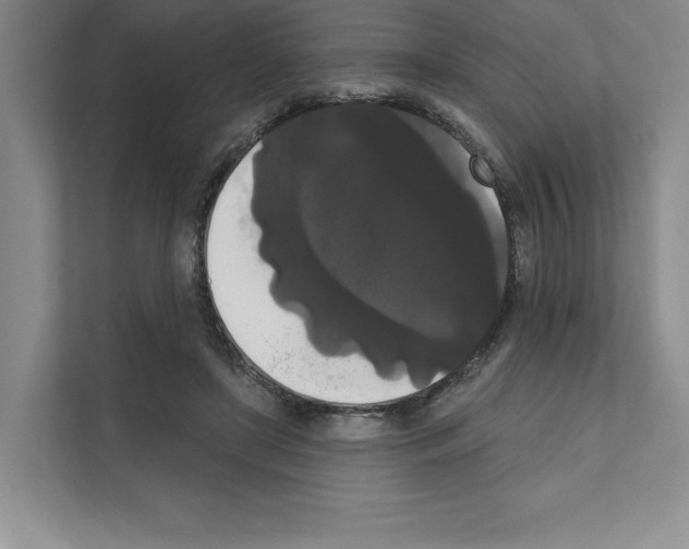 X0000111020451200907310935