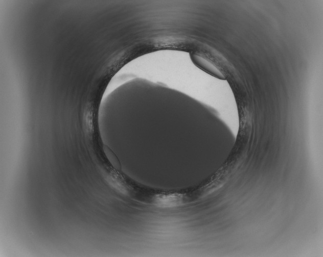 X0000111020452200907310935