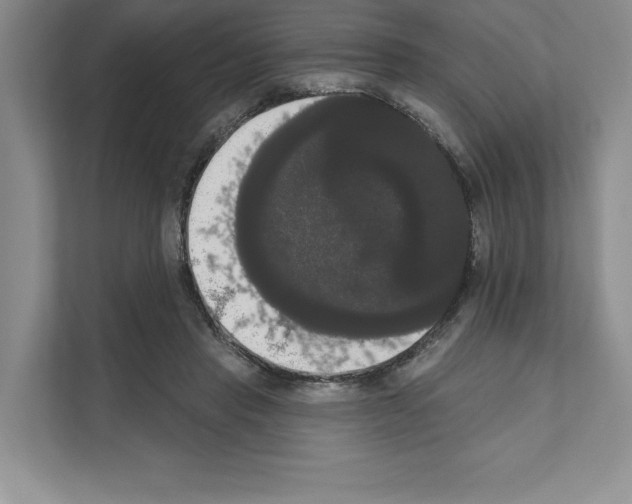 X0000111020453200907310935