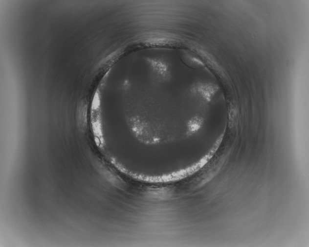 X0000111020454200907310935