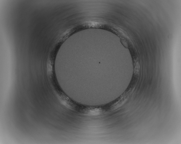 X0000111020456200907310935