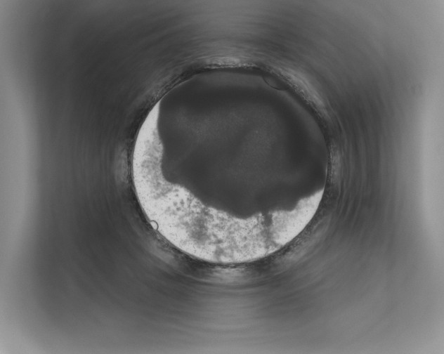 X0000111020457200907310935