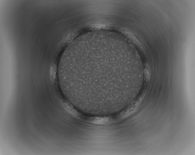 X0000111020458200907310935