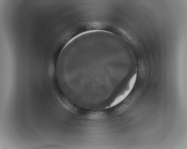 X0000111020459200907310935