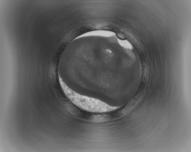 X0000111020461200907310935