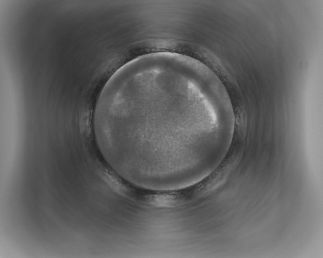X0000111020462200907310935