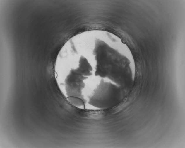 X0000111020465200907310935