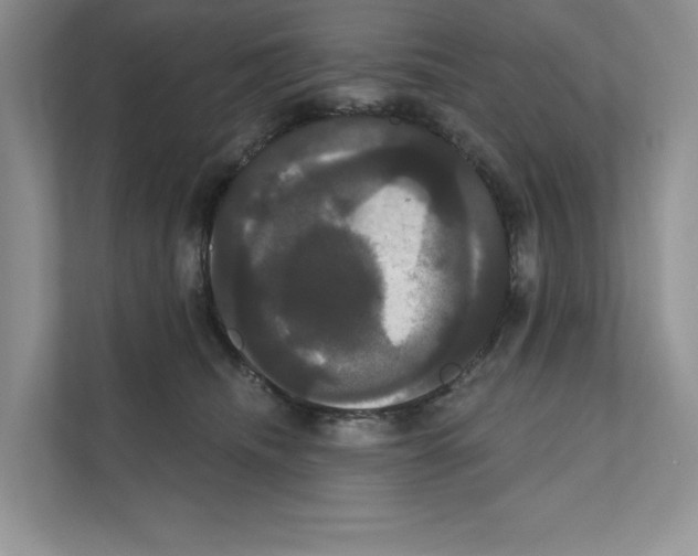 X0000111020468200907310935