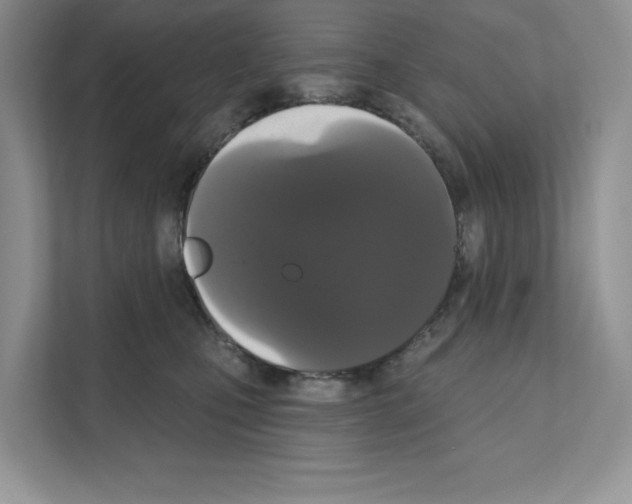 X0000111020471200907310935