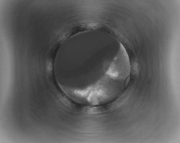 X0000111020472200907310935