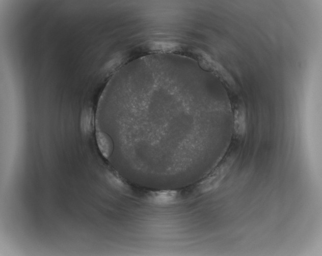 X0000111020474200907310935