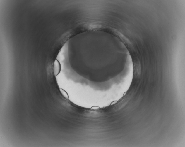 X0000111020475200907310935