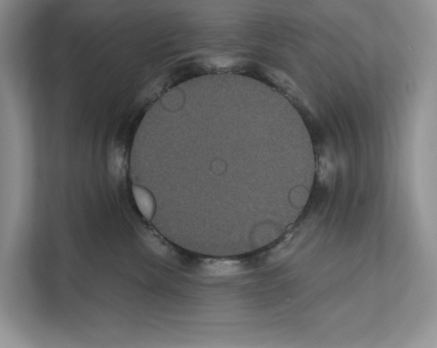 X0000111020476200907310935