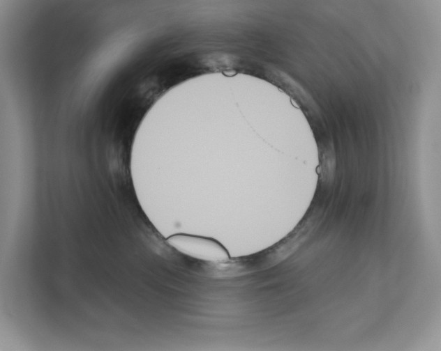X0000111020477200907310935