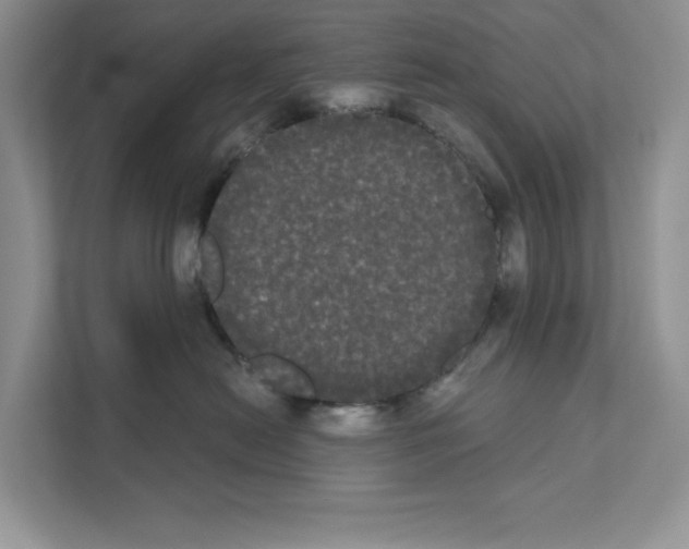 X0000111020478200907310935