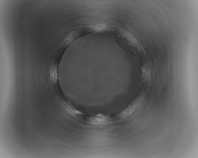X0000111020479200907310935