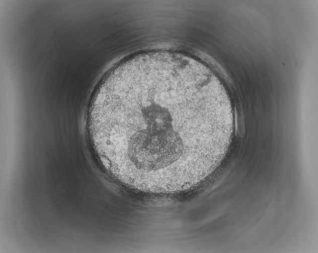 X0000111020483200907310935