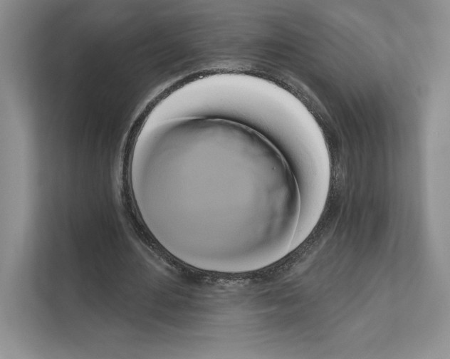 X0000111020484200907310935