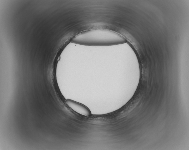 X0000111020485200907310935