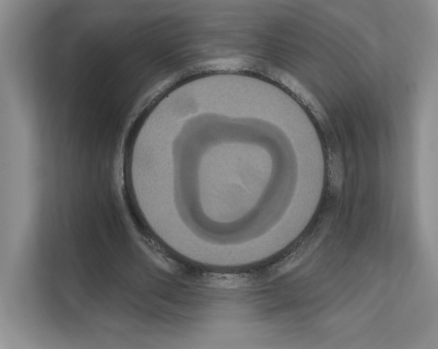 X0000111020486200907310935