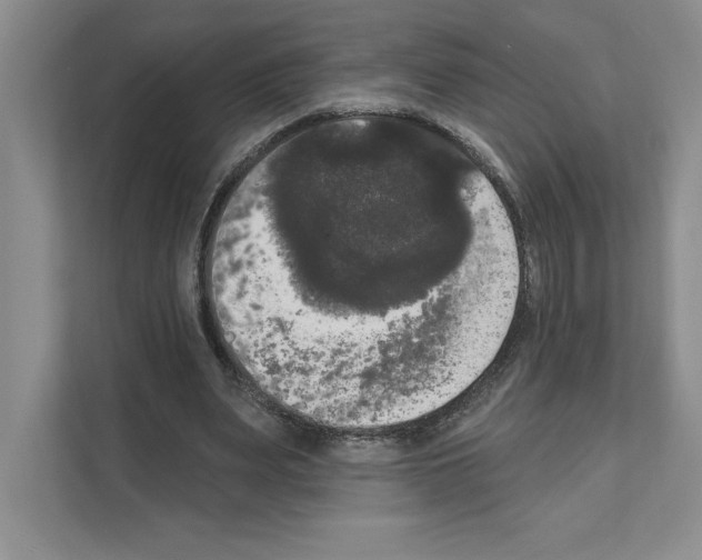 X0000111020487200907310935
