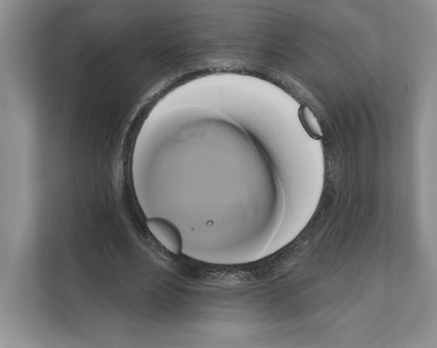 X0000111020488200907310935