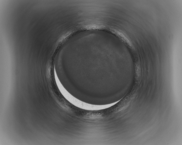 X0000111020491200907310935