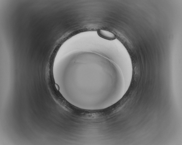 X0000111020492200907310935