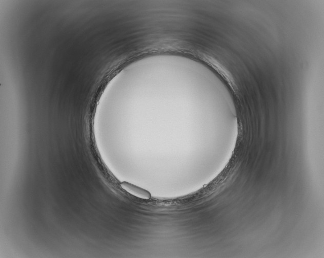 X0000111020493200907310935