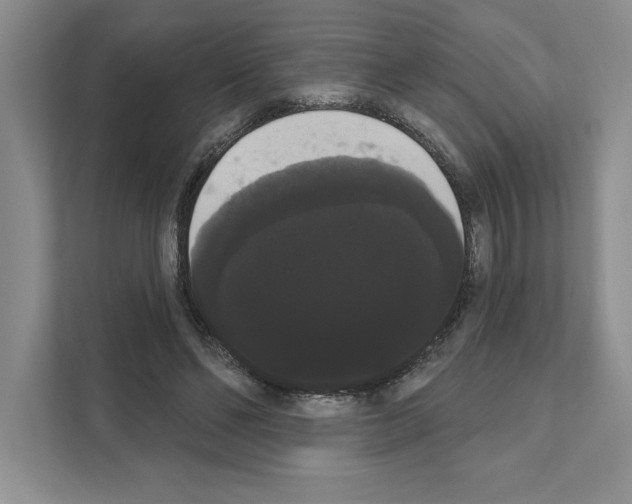 X0000111020494200907310934