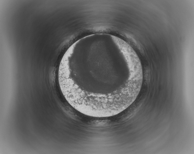 X0000111020495200907310934