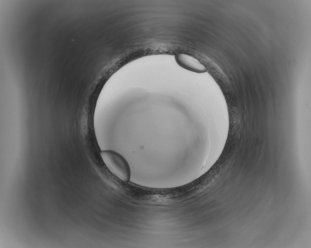 X0000111020496200907310934