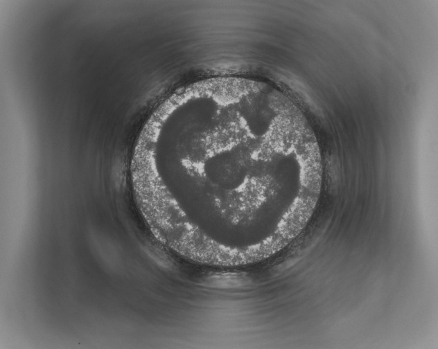 X0000111020499200907310934
