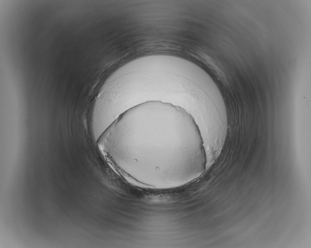 X0000111020500200907310934