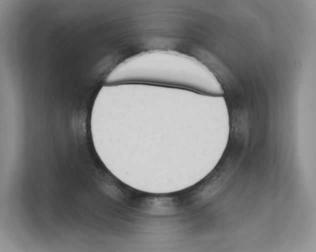 X0000111020501200907310934