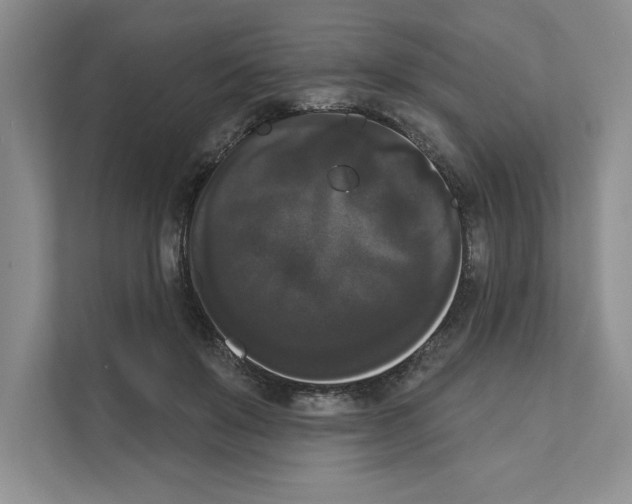 X0000111020503200907310934