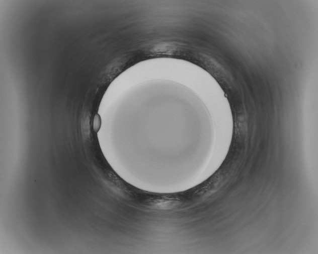 X0000111020504200907310934