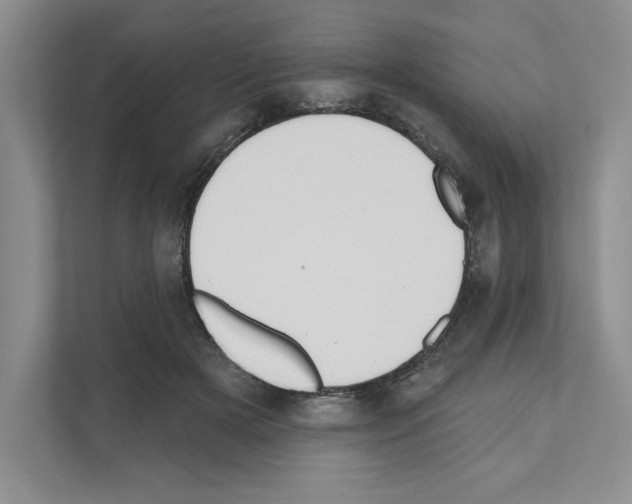 X0000111020505200907310934