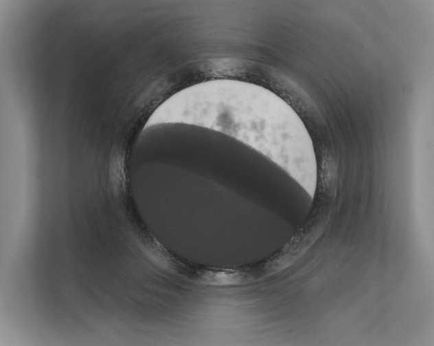 X0000111020506200907310934