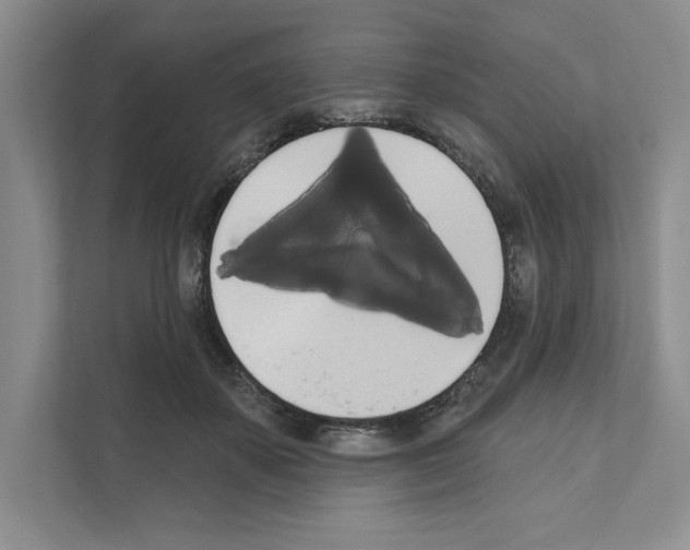 X0000111020507200907310934