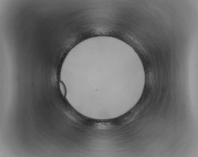 X0000111020508200907310934